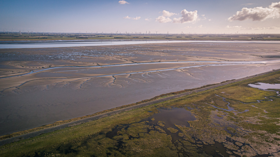 Sediment of coastal ecosystems such as the Wadden Sea in Lower Saxony can store significant amounts of carbon from the atmosphere. 