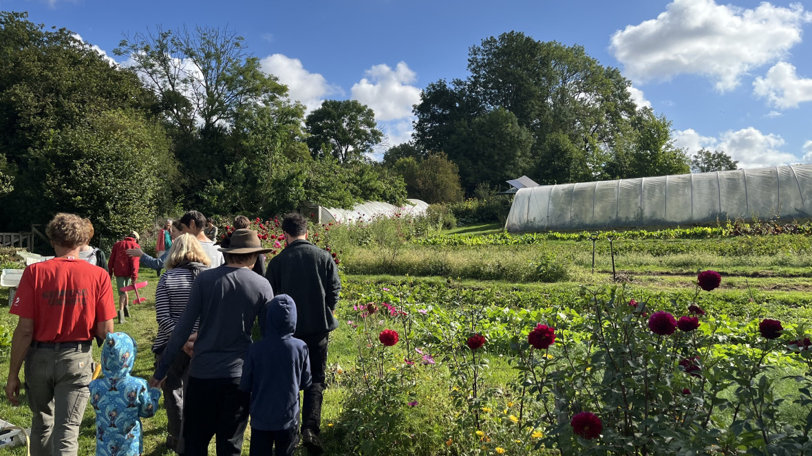 Auf den Anbauflächen des Gärtnerhofs Himmel und Erde in Mecklenburg-Vorpommern sind regelmäßig Menschen beim Mithelfen anzutreffen. Nach dem Prinzip der Solidarischen Landwirtschaft teilen sich dort Produzierende und Konsumierende die Verantwortung für nachhaltige Lebensmittelerzeugung.