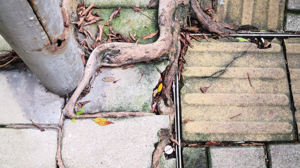 We need to think of sustainability as a way of being in the world, a mindset embedded in how we collectively design cities, economies, institutions, and social relations.