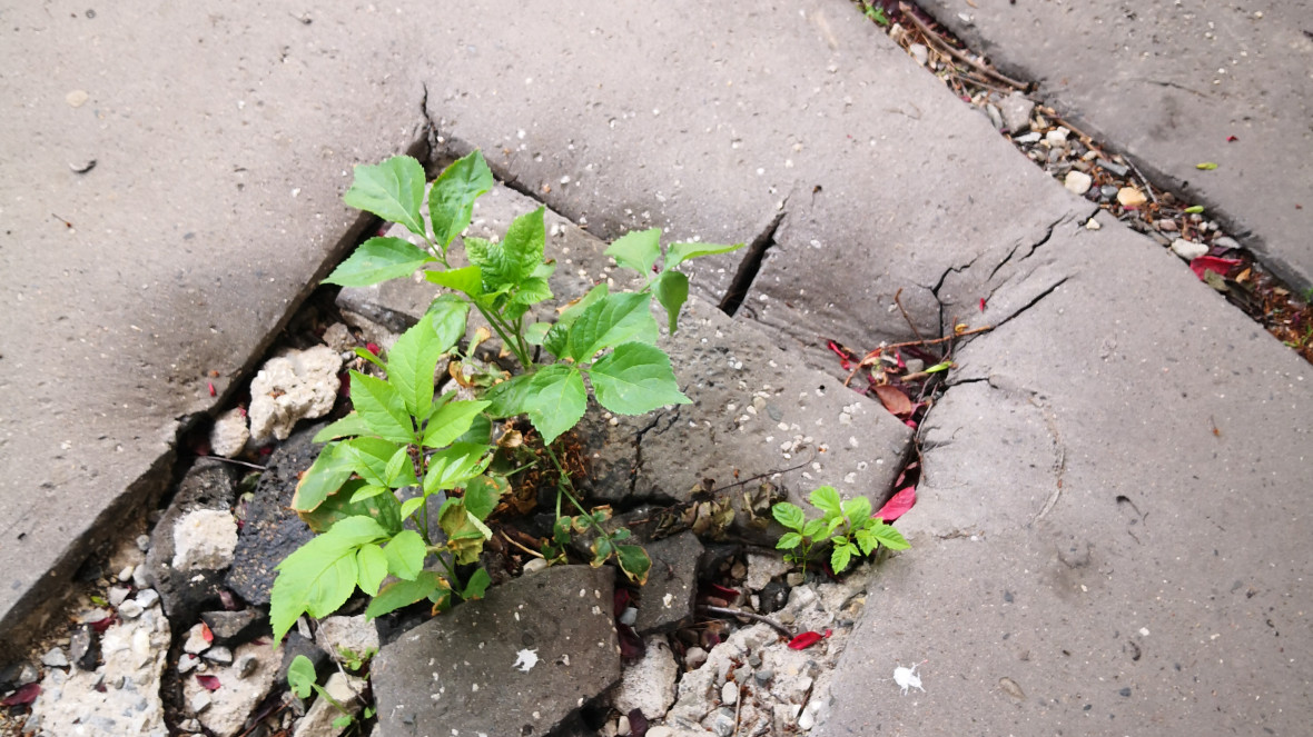 What kind of future are we trying to create, and for whom?