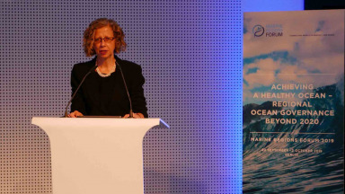 Inger Andersen, Executive Director of the United Nations Environment Programme UNEP, addresses the conference.
