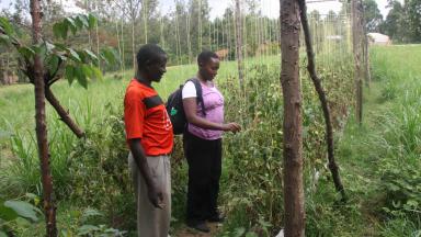 IASS researcher Serah Kiragu talks with a Kenyan farmer about his experience of putting new land management methods into practice.
