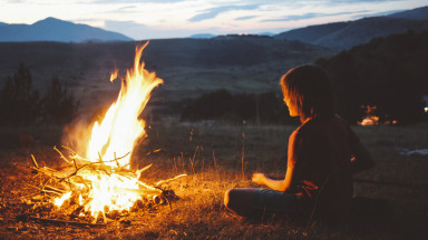 The log and the flame: what fire can teach us about the transformation towards sustainability
