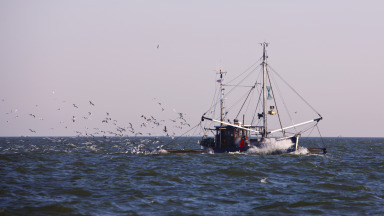 Fishing  is  currently  the  activity  with  the largest  impact  on  biodiversity  in the high seas.