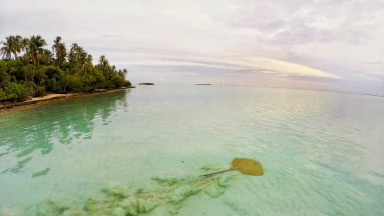 Meemu Atoll Maldives Ocean