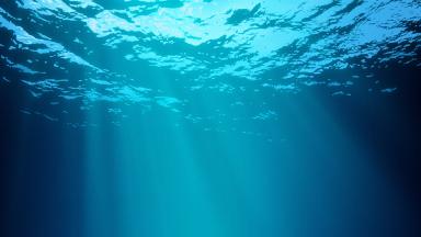 Die Internationale Meeresbodenbehörde sollte die Öffentlichkeit beim Thema Tiefseebergbau umfassend informieren und in Entscheidungen einbinden, empfiehlt ein IASS Policy Brief. © istock/tolokonov